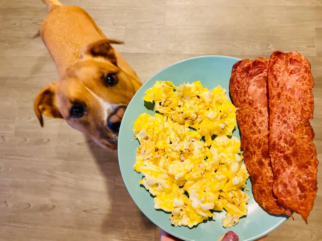Cane che spera di fare colazione