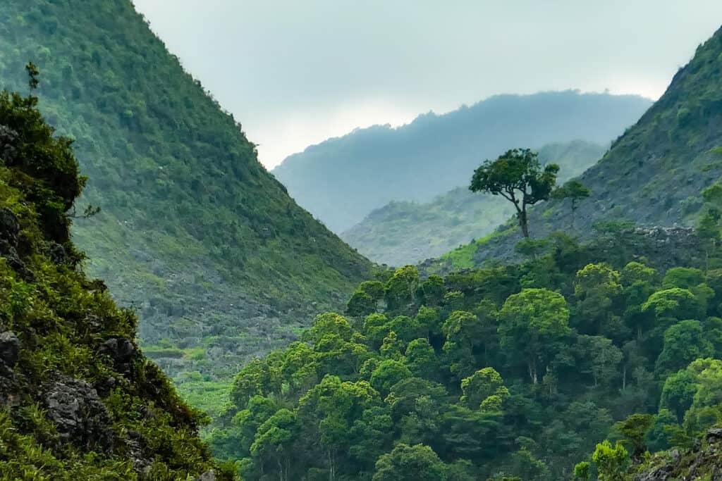 Paesaggio del Vietnam in primavera