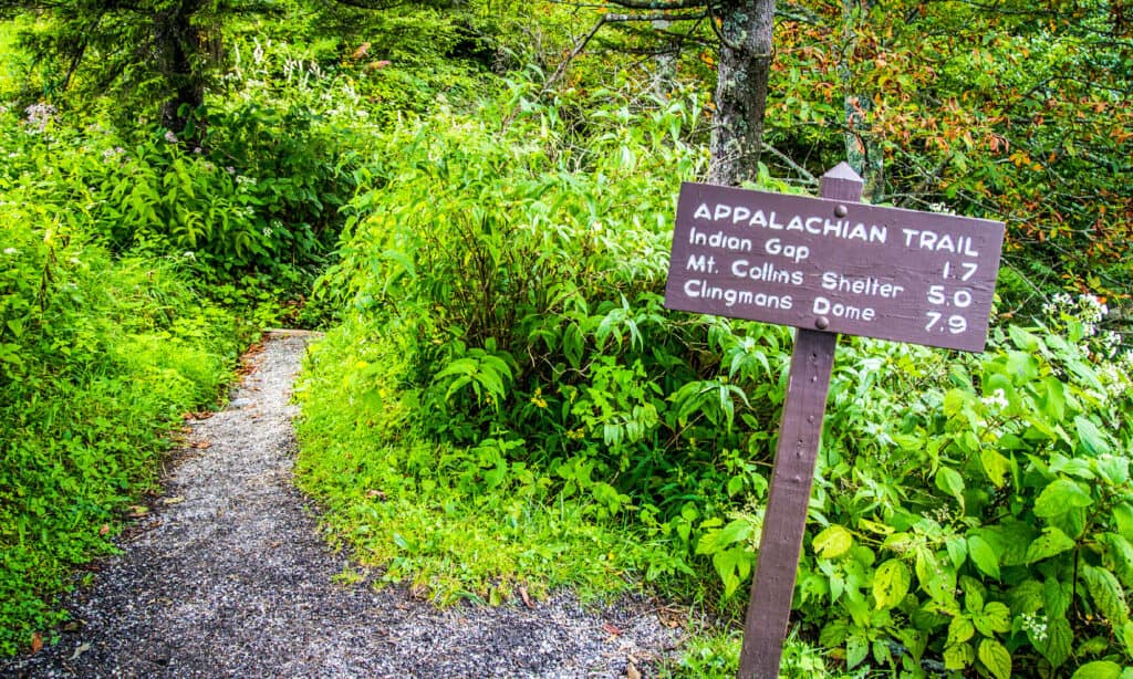 Appalachian Trail, Escursionismo, Segno, Great Smoky Mountains, Veduta dall'alto