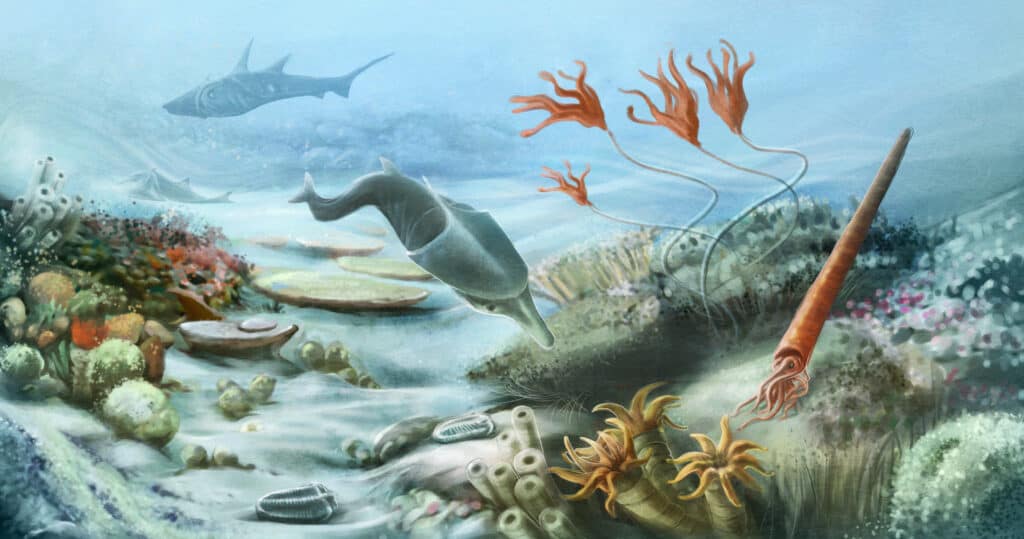 vita sottomarina preistorica nel periodo siluriano