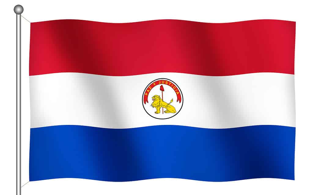 Bandiera del Paraguay che sventola (retro) 
