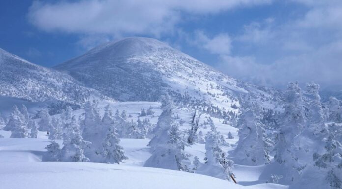 snow in aomiri japan