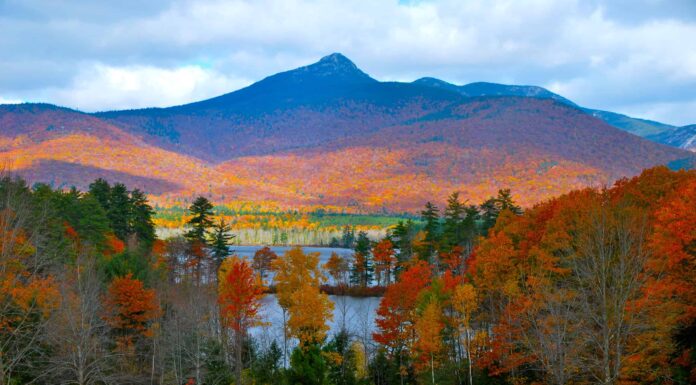 I 5 posti migliori per sbirciare le foglie nel New Hampshire: date di punta, migliori percorsi di guida e altro
