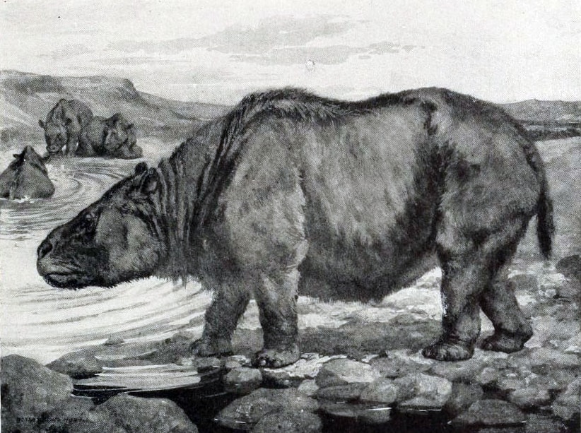 Toxodon 