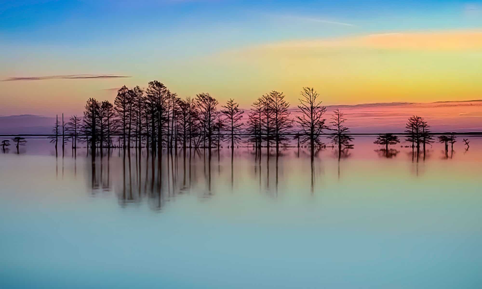 Lago Mattamoskeet