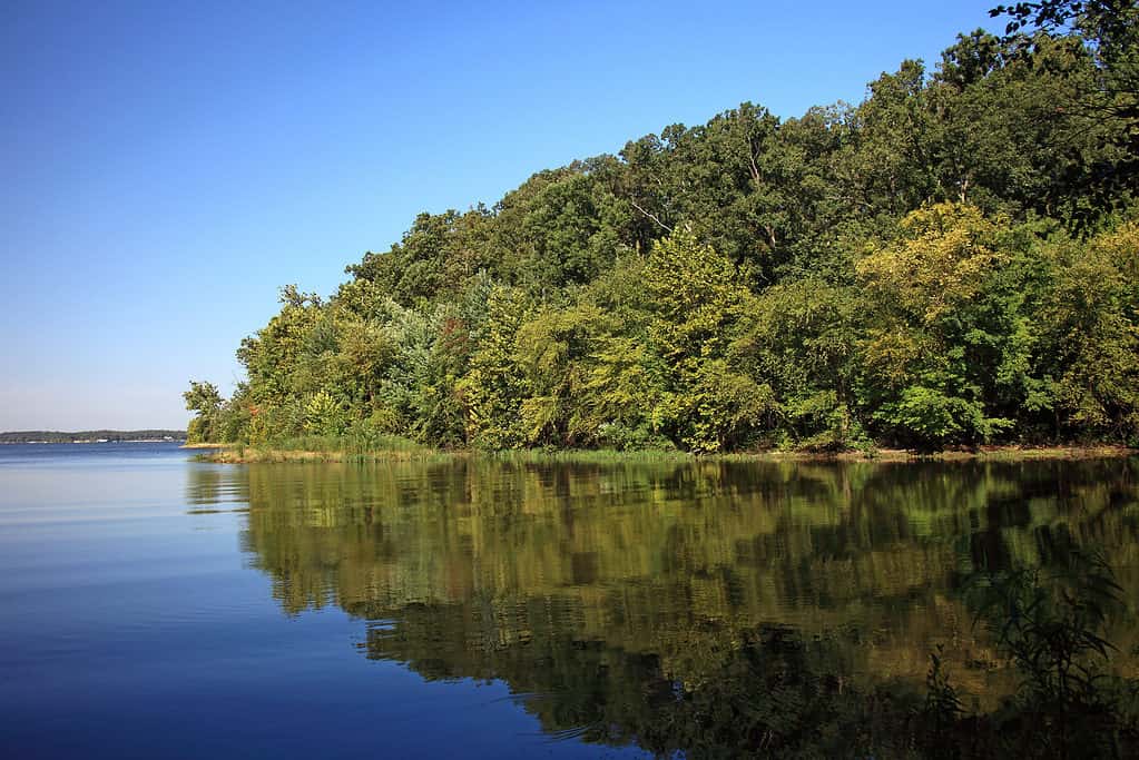 Area ricreativa nazionale di Land Between the Lakes, Kentucky Lake