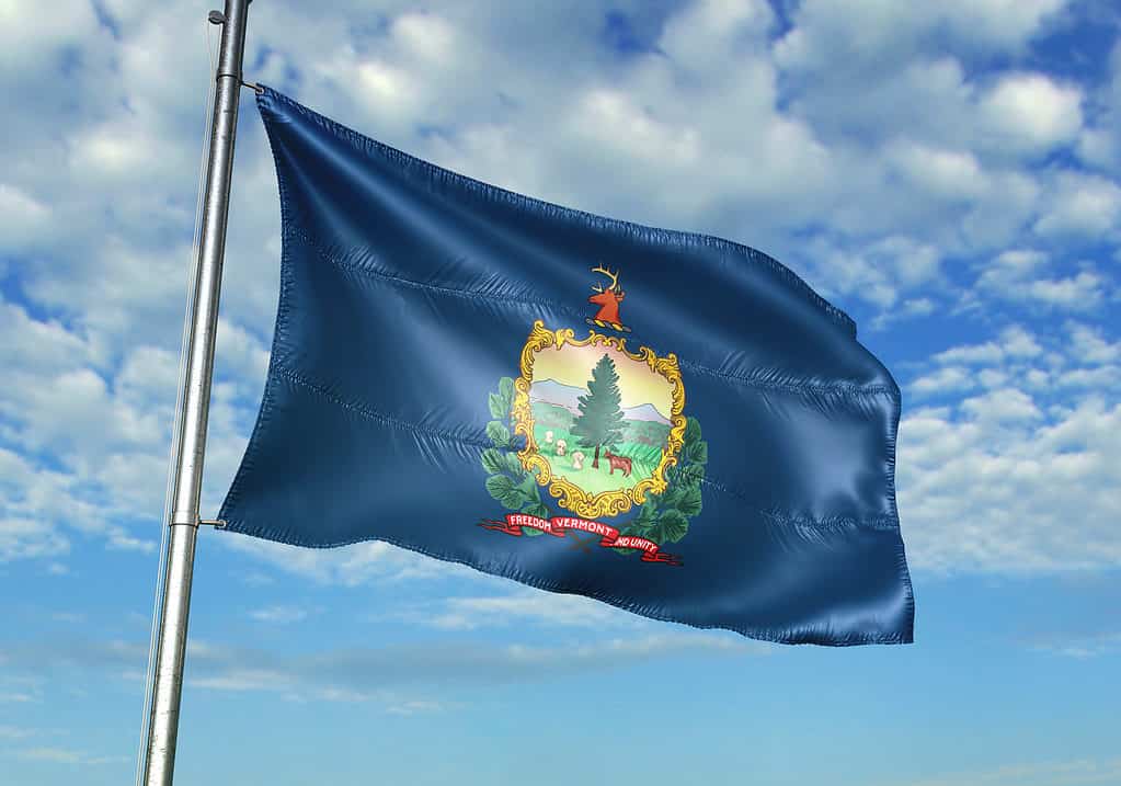 Bandiera del Vermont che ondeggia nel vento