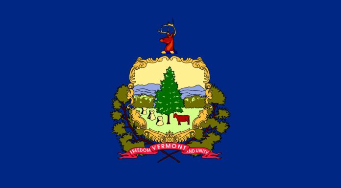 La bandiera del Vermont: storia, significato e simbolismo

