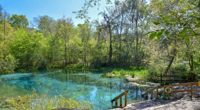 Le migliori piscine vicino a Jacksonville
