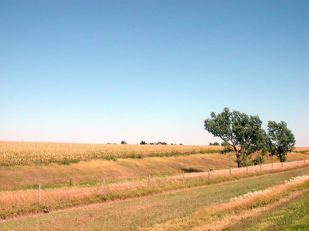 Campi di grano Colby, Kansas