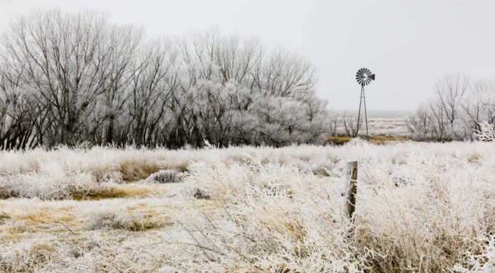 Scopri il luogo più freddo del Kansas
