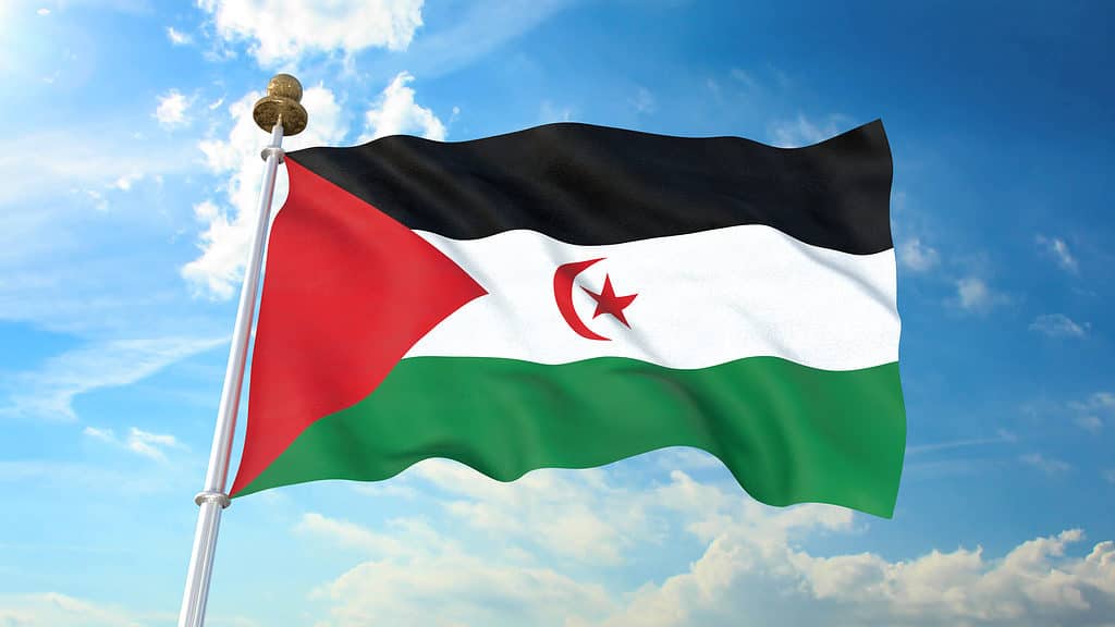 Bandiera del Sahara occidentale che fluttua nel vento