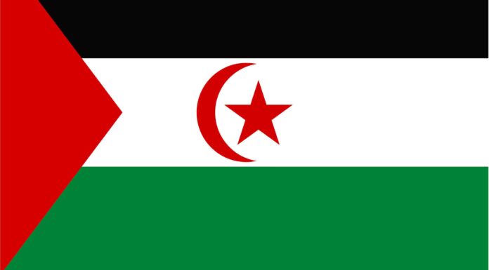 La bandiera del Sahara occidentale: storia, significato e simbolismo
