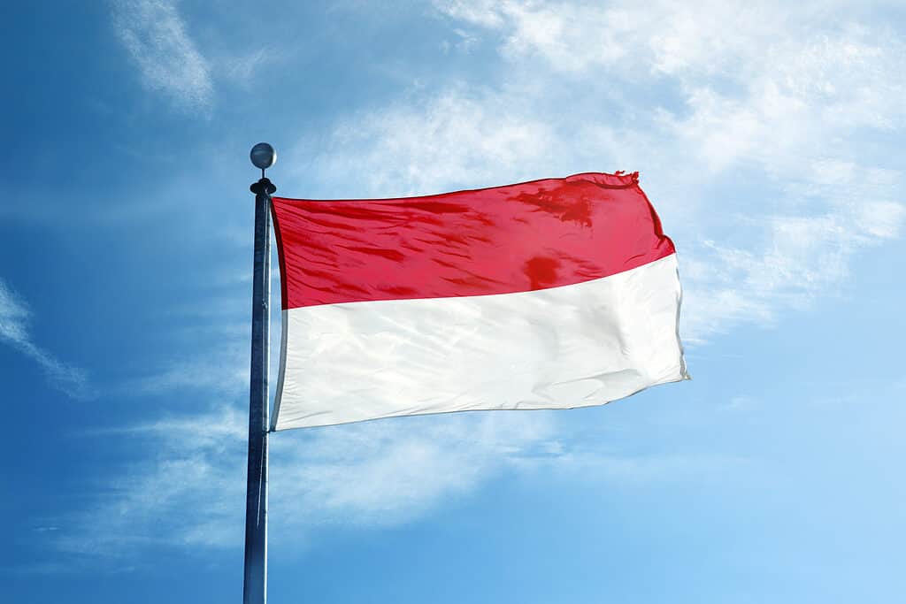 Bandiera dell'Indonesia