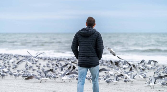 Scopri il gennaio più freddo mai registrato della Carolina del Sud
