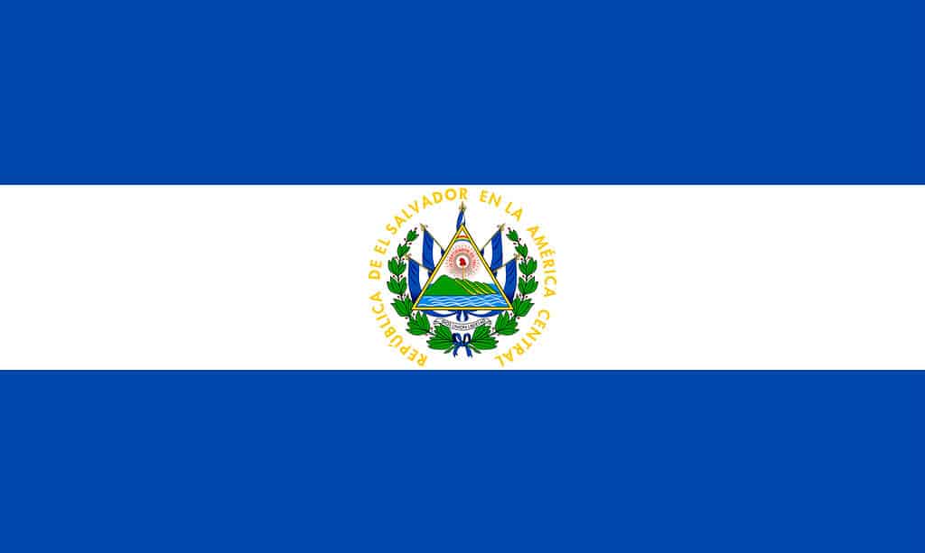Bandiera salvadoregna