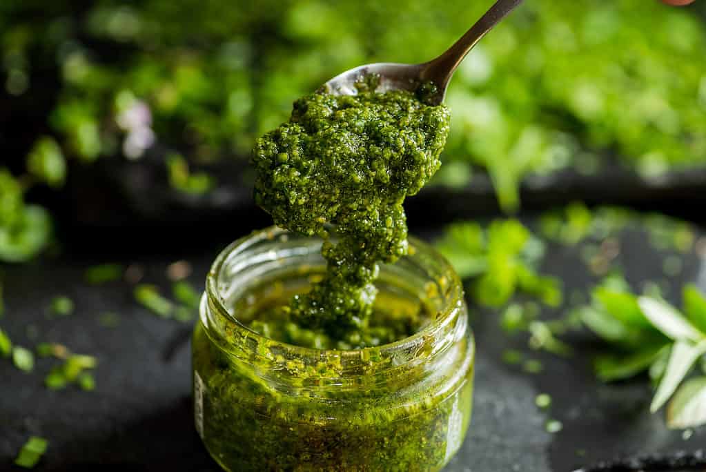 pesto in un cucchiaio, barattolo con pesto