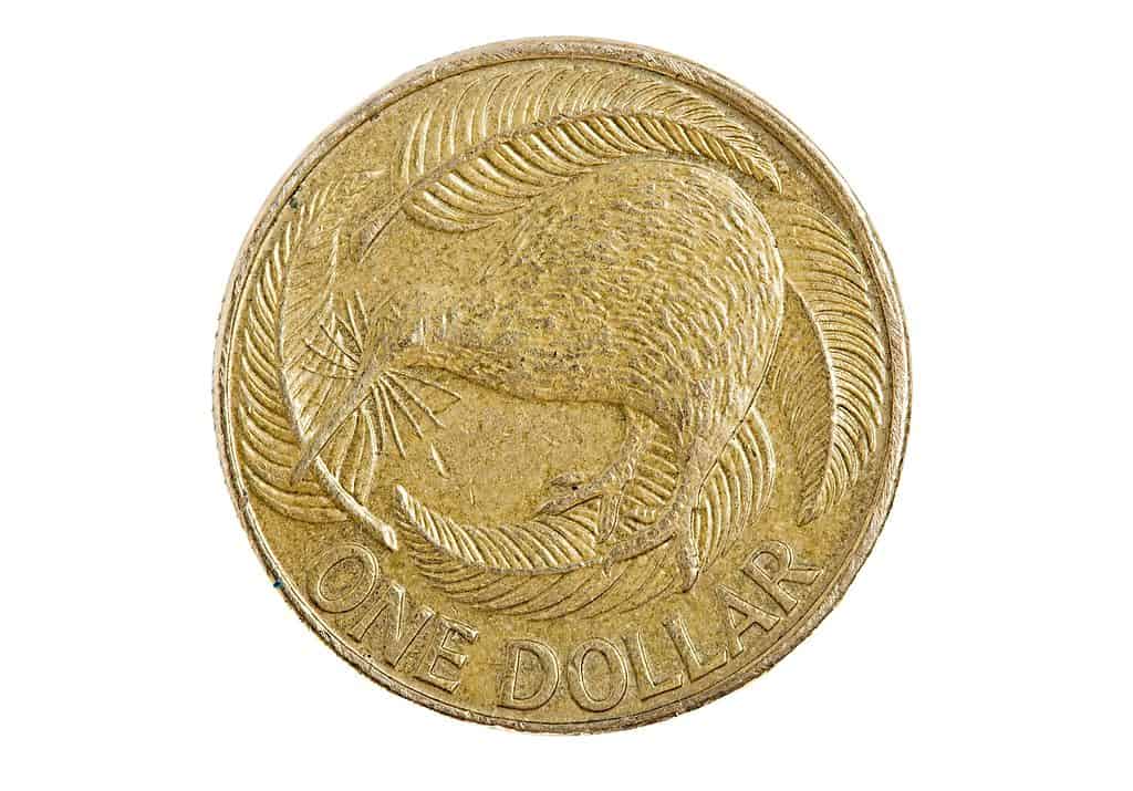 Moneta da un dollaro kiwi
