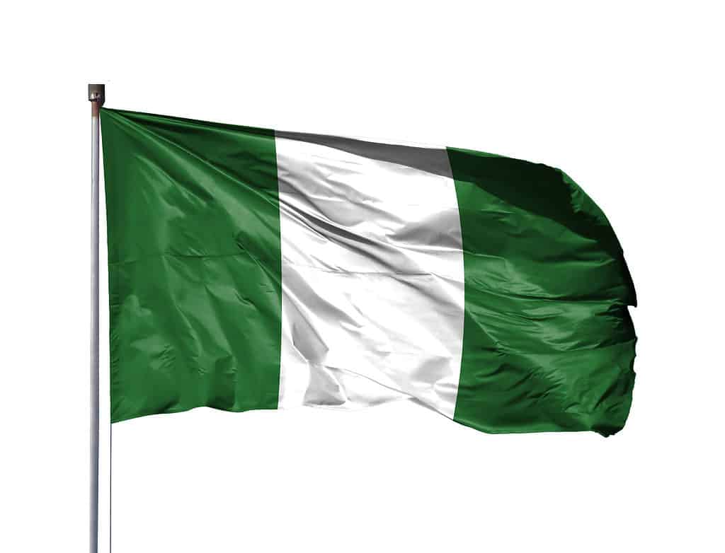 La bandiera della Nigeria
