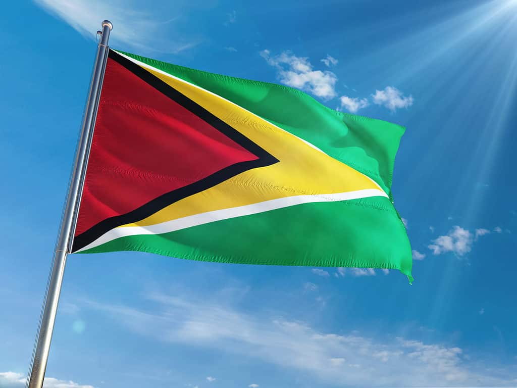 Bandiera della Guyana che fluttua nel vento
