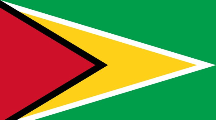 La bandiera della Guyana: storia, significato e simbolismo
