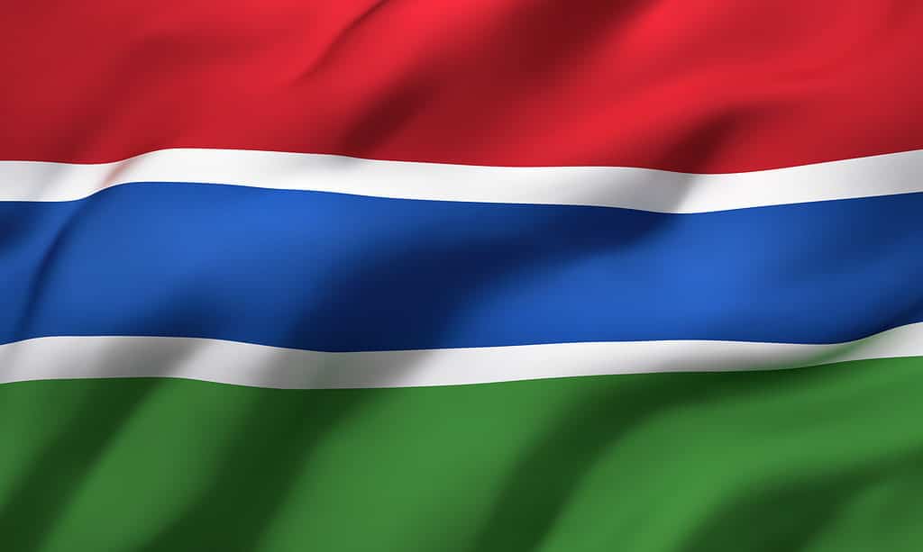Bandiera della Gambia
