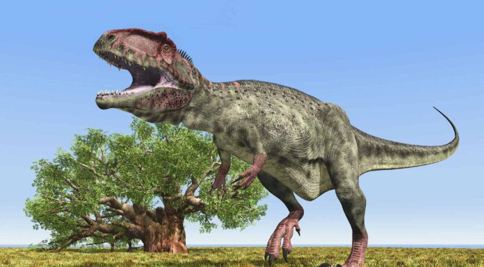 I dinosauri vivevano nel Rhode Island?

