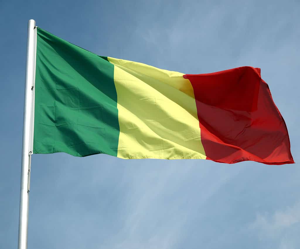 bandiera del Mali