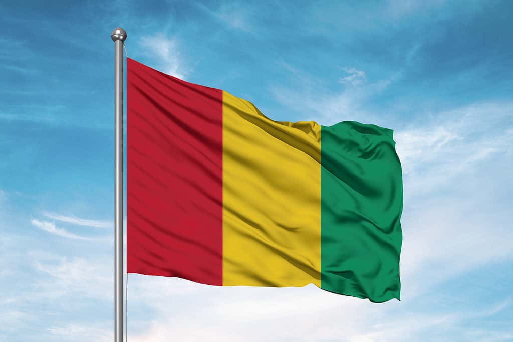 bandiera della Guinea