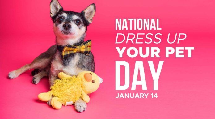 National Dress Up Your Pet Day è il 14 gennaio, 6 modi divertenti per festeggiare
