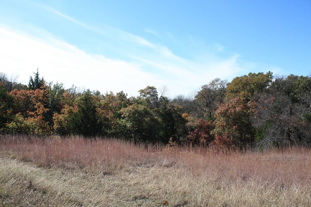 Eagle Mountain Park, Fort Worth, Texas