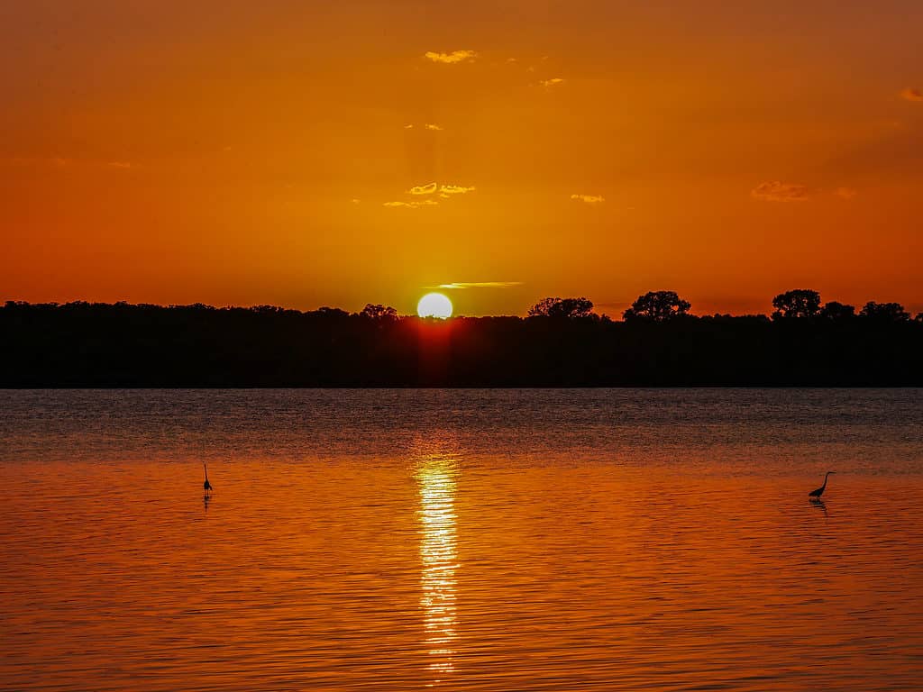 Tramonto a Eagle Mountain Lake a Fort Worth, Texas