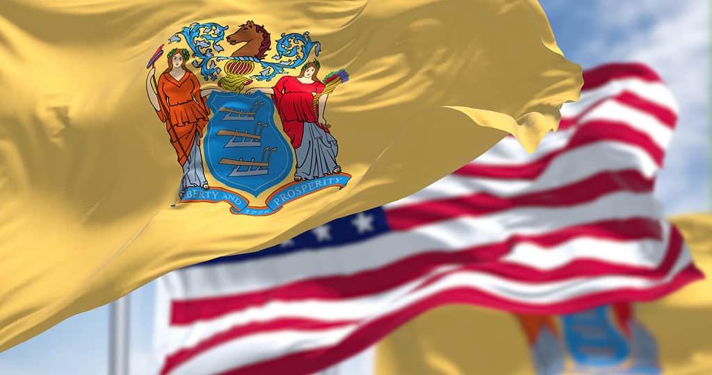 La bandiera dello stato del New Jersey che sventola 