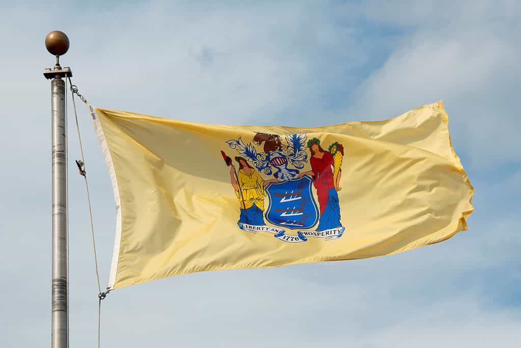 La bandiera del New Jersey