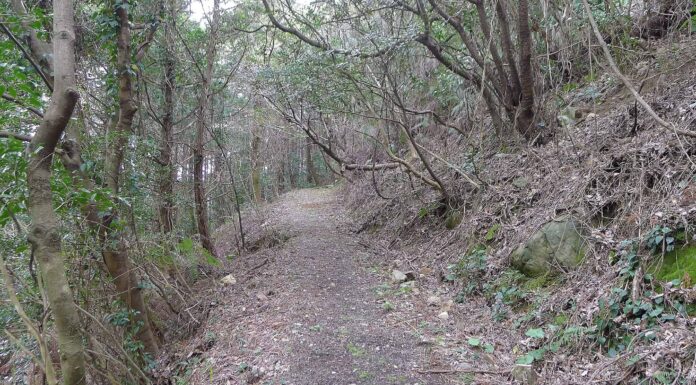 8 fatti incredibili sulle strade più antiche del mondo
