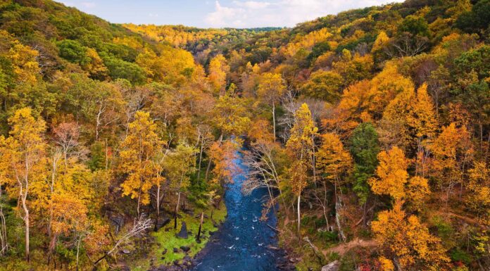 Qual è il lago artificiale più grande del Maryland
