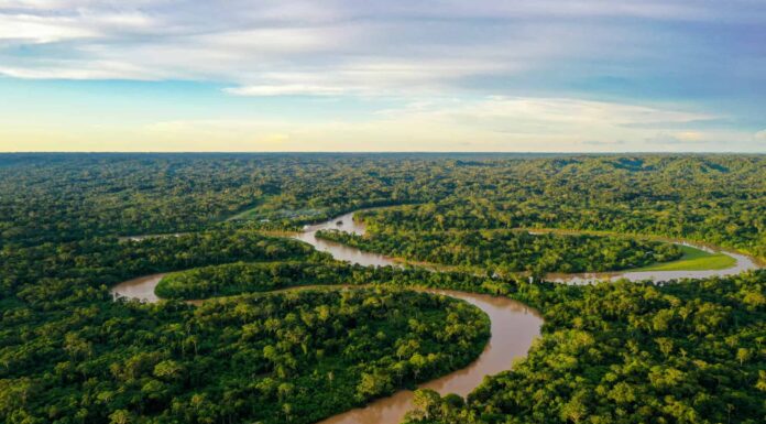 Esplora la foresta più grande del mondo
