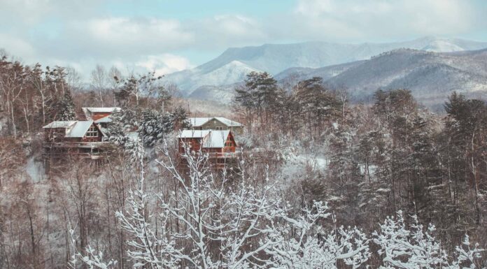 Scopri il gennaio più freddo mai registrato in Tennessee
