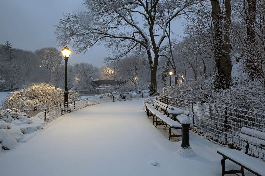 Central Park, le temperature fredde di New York City hanno raggiunto i 15 gradi