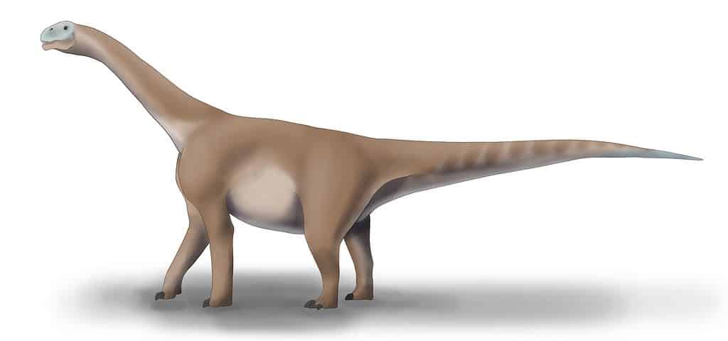 Moabosaurus era uno dei più grandi dinosauri del Nord America