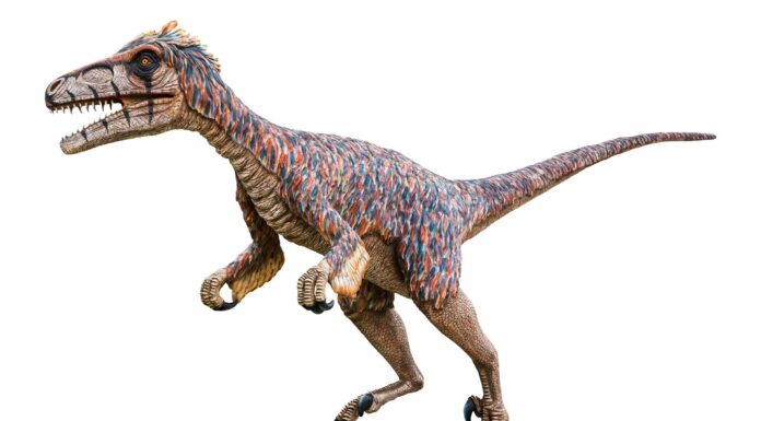 10 dinosauri che vivevano nello Utah (e dove vedere i fossili oggi)
