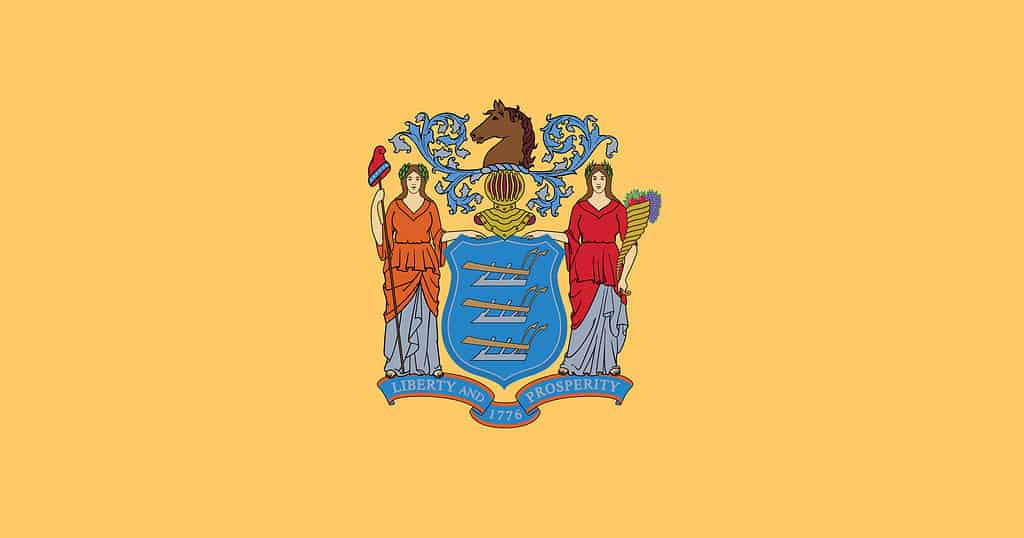 Bandiera del New Jersey