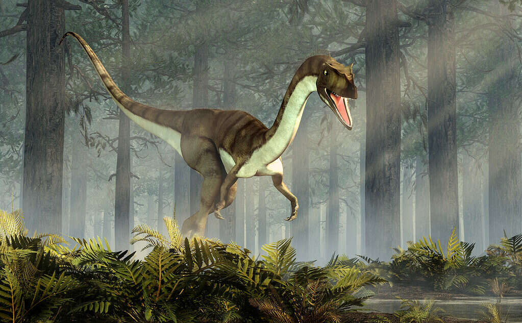 Il dinosauro Coelophysis è il fossile di stato del New Mexico