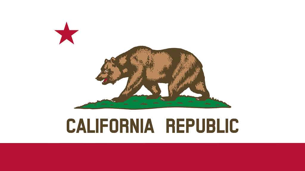 Bandiera della California