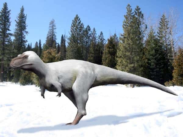 Nanuqsaurus hoglundi