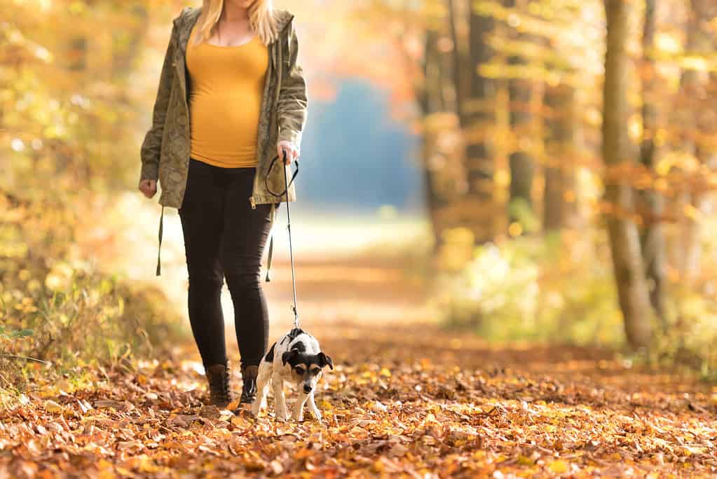 Donna incinta che porta a spasso il suo cane