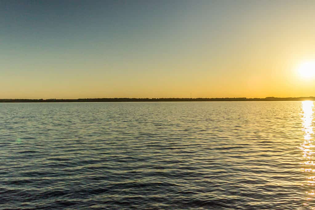 Lago Palestina TX