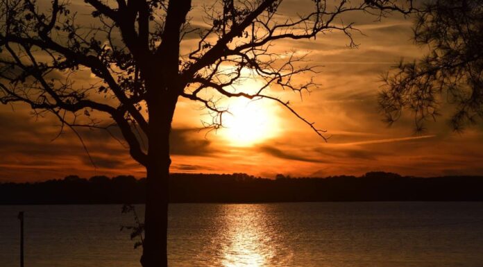 Quanto è profondo il lago Palestine in Texas?
