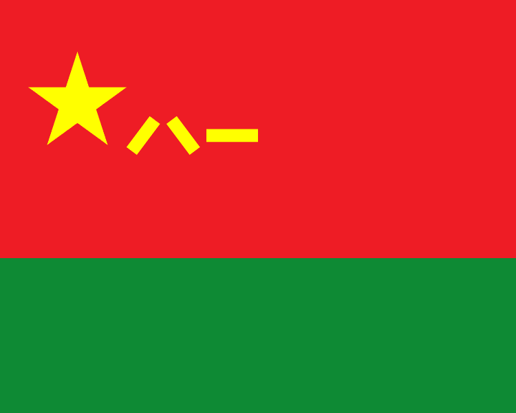 Bandiera della forza di terra della Repubblica popolare cinese