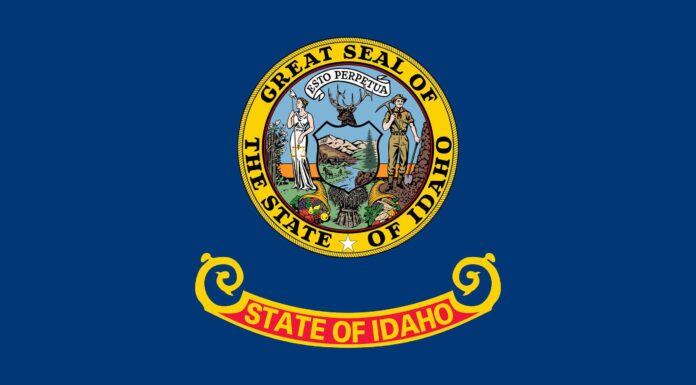 La bandiera dell'Idaho: storia, significato e simbolismo
